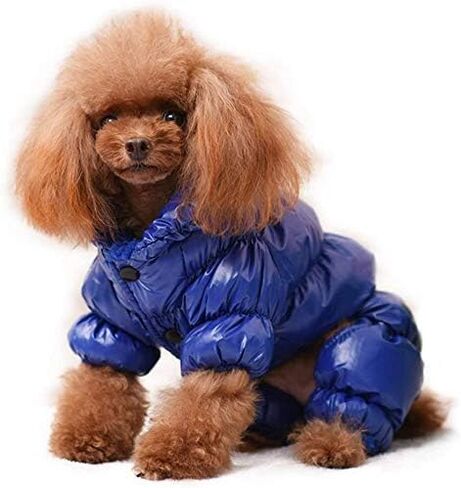 Winter Dog Clothes Puppy Pet Cat Vest Snowsuit Coat for Small Dogs, Waterproof Dog Jumpsuit Puffer, Soft Warm Fleece Lined Pet Apparel Clothing for Chihuahua Poodles French Bulldog (XL, Red) in Saudi Arabia