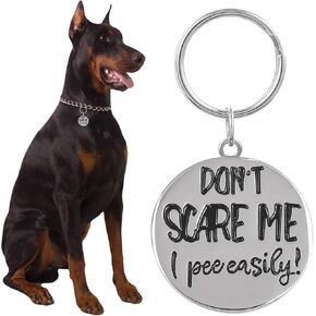 Madison Tyler Cute Dog Tag | Halloween Puppy Necklace Pendant for Jewelry Charms | Dog Collar Charms | Pet Dog Lick or Treat Bat Lollipop | Holiday Halloween Dog Charms