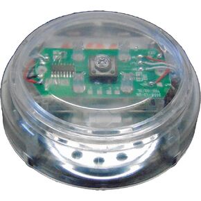 Custom Easy Button Transparent - The ONLY See Through Recordable Talking Button Record