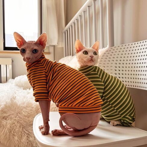 Sphynx Cat Stripe Shirt, Two-legged Clothes for Cats, Hairless Cats Warm Cotton Clothes, Stretchy Fabric Cat Onesie (Medium) in Kuwait