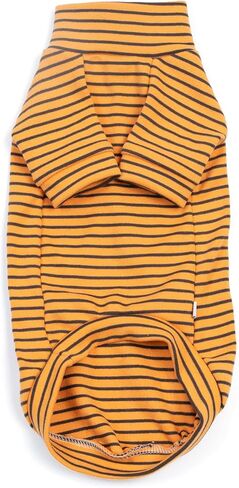 Sphynx Cat Stripe Shirt, Two-legged Clothes for Cats, Hairless Cats Warm Cotton Clothes, Stretchy Fabric Cat Onesie (Medium) in Kuwait