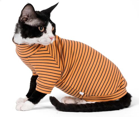 Sphynx Cat Stripe Shirt, Two-legged Clothes for Cats, Hairless Cats Warm Cotton Clothes, Stretchy Fabric Cat Onesie (Medium) in Kuwait