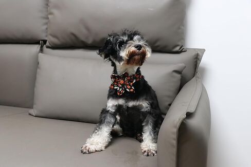 Lionet Paws Halloween Dog Bowtie Collar - Cute Cotton Adjustable Fall Dog Collar with Bowtie for Small Medium Large Dog Girl Boy Gift, S, Neck 10-16in in Kuwait