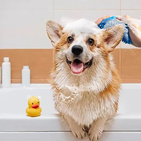 3 قطع من فرش حمام الحيوانات الأليفة مع موزع شامبو السيليكون، وظيفة التدليك، ومقبض دائري قابل للتعديل، مثالية للكلاب والقطط ذات أنواع الشعر المختلفة أثناء الاستحمام. in Kuwait