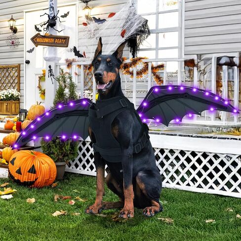Dog Halloween Costume, Electric Bat Wings Dog Costume with LED Lights, 56 LED Electric Dog Bat Wings Halloween Funny Costume, Halloween Party Cosplay Funny Dog Halloween Costume (X-Large) in Saudi Arabia