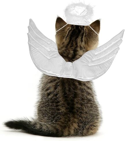 POPETPOP Pet Dog Cat Halloween Costume Angel Wings Shape Clothing - Creative Pet Cat Makeover Clothes for Halloween Festival Party Special Events - Pet Clothes Supplies - Size S (White) in Saudi Arabia