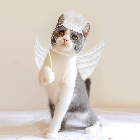 POPETPOP Pet Dog Cat Halloween Costume Angel Wings Shape Clothing - Creative Pet Cat Makeover Clothes for Halloween Festival Party Special Events - Pet Clothes Supplies - Size S (White) in Saudi Arabia