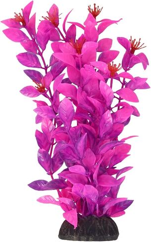 Underwater Treasures Ludwigia - Pink - 8" in Saudi Arabia