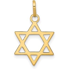 Charm Pendant 14K Yellow Gold Themed 21 mm 14 Star Of David