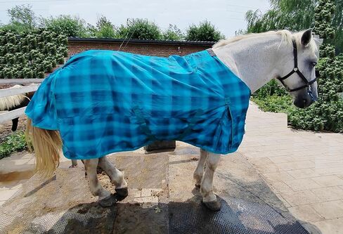 بطانية حصان 600D مقاومة للماء والرياح وقابلة للتنفس، مستقلة، قابلة للدوران ومستقرة مع قطن بوليفيل (250 جرام)، إصدار متوسط ​​الوزن - أزرق مع شبكة - 75 بوصة in Kuwait