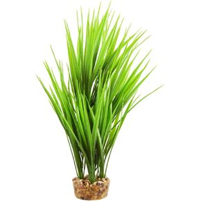 Underwater Treasures Amazon Grass - أخضر - 10 بوصة