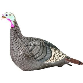 Hunters Specialties HS Strut Lite Hen Turkey Foldable Hollow Body Realistic Decoy