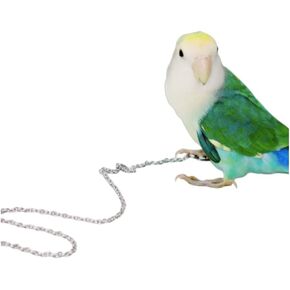 Bird Foot Chain Flying Stainless Steel Training Rope Outdoor Parrot Ankle Foot Ring Accessories Bird Harness Leash Prevent Escaping (6#)