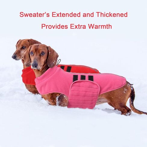 Dachshund Sweater,Small Dog Sweaters Dachshunds Clothes for Miniature,Fleece Dogs Coat,Warm Doggy Coats for Medium Dogs Girl,Female Puppy Winter Jacket Apparel & Accessories (Blue, Medium) in Saudi Arabia