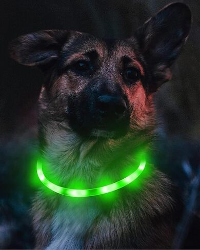 Joytale Light Up Dog Collar, Rechargeable Rainproof LED Dog Collar for Night Walking Safety, Soft Silicone Glow in The Dark Collar for Small Medium Large Dogs, Blue in Kuwait