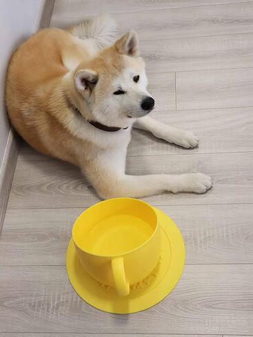 United Pets Cup-Shaped Dog Bowl & Mat Set for Dogs and Cats | BPA Free Water & Food Pet Bowl Feeder for Pets | Eco Friendly & Pet Safe Food Grade Quality Materials | Made in Italy | Taupe - 84.5 oz in Saudi Arabia