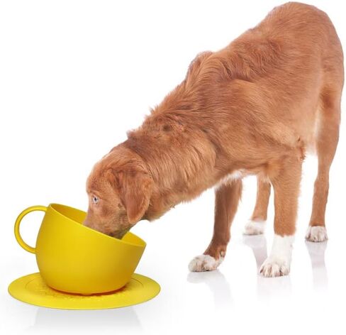 United Pets Cup-Shaped Dog Bowl & Mat Set for Dogs and Cats | BPA Free Water & Food Pet Bowl Feeder for Pets | Eco Friendly & Pet Safe Food Grade Quality Materials | Made in Italy | Taupe - 84.5 oz in Saudi Arabia