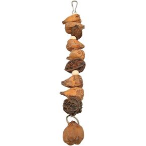 Nuts Chew Toy, Bird Chew Toys, Parrot Toys Grinding Mouth Bite Resistance Logs Natural Nuts Hanging Parrot Chew Toys Bird Toys for Parrots Budgies Macaws
