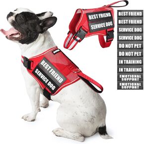 Service Dog Vest Harness and 10 Patches for Large Dogs,Mesh Design Adjustable Emotional Support Dog Vest,Lightweight Reflective Do Not Pet Dog Harness for Training Walking Everyday Red L