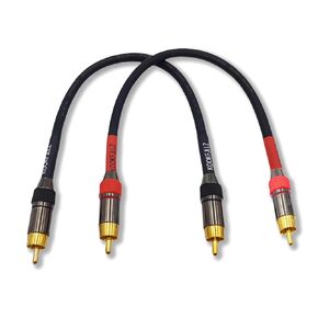 Low Noise RCA Cables, High-Fidelity Audio Short RCA Cable, 1 Foot Double Shielding RCA Patch Cable for Home Theater, Amplifier, HDTV, Audio Systems, Speakers - 2 Pack