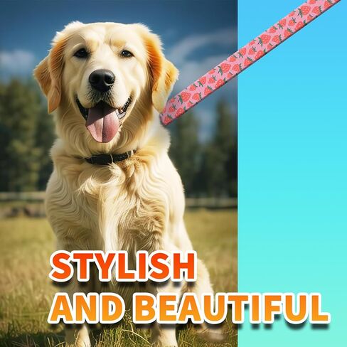 Dog Leash with Neoprene Handle, Dog Training Leash, 6FT Cute Durable Polyester Dog Leashes for Medium & Large Dogs Walking Boho Colorful Flower in Saudi Arabia