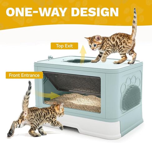 DWVO Enclosed Cat Litter Box with Lid, Two-Way Entry/Exit, Slide-Out Tray with High Edges, Litter Scoop, Self-Groomer, and Deodorizer Filter, Blue - 19" L x 15" W x 15" H in Saudi Arabia