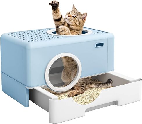 DWVO Enclosed Cat Litter Box with Lid, Two-Way Entry/Exit, Slide-Out Tray with High Edges, Litter Scoop, Self-Groomer, and Deodorizer Filter, Blue - 19" L x 15" W x 15" H in Saudi Arabia
