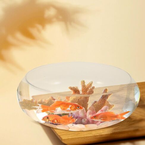 SUPVOX Glass Fish Bowl Clear Aquarium Bowl Hydroponic Planter Pot Round Nursery Container Wide Mouth Flower Vase Succulent Bonsai Pot for Home Garden in Saudi Arabia