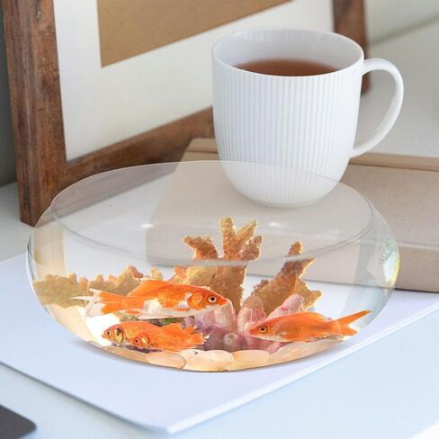 SUPVOX Glass Fish Bowl Clear Aquarium Bowl Hydroponic Planter Pot Round Nursery Container Wide Mouth Flower Vase Succulent Bonsai Pot for Home Garden in Saudi Arabia