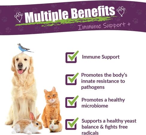 Amber NaturalZ - Vibactra Plus Immune Support Plus - تركيبة غنية بمضادات الأكسدة تساعد على مكافحة الجذور الحرة، وتدعم توازن الخميرة الصحي، وتحافظ على نباتات الأمعاء الصحية، وتدعم صحة الجهاز التنفسي العلوي وصحة الفم - 1 أونصة in Kuwait