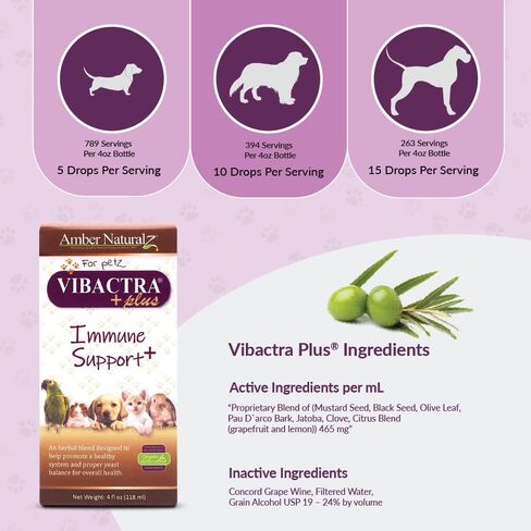 Amber NaturalZ - Vibactra Plus Immune Support Plus - تركيبة غنية بمضادات الأكسدة تساعد على مكافحة الجذور الحرة، وتدعم توازن الخميرة الصحي، وتحافظ على نباتات الأمعاء الصحية، وتدعم صحة الجهاز التنفسي العلوي وصحة الفم - 1 أونصة in Kuwait