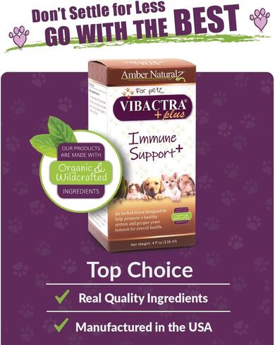Amber NaturalZ - Vibactra Plus Immune Support Plus - تركيبة غنية بمضادات الأكسدة تساعد على مكافحة الجذور الحرة، وتدعم توازن الخميرة الصحي، وتحافظ على نباتات الأمعاء الصحية، وتدعم صحة الجهاز التنفسي العلوي وصحة الفم - 1 أونصة in Kuwait
