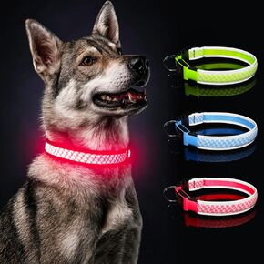 Light Up Dog Collars,Safety Glow in The Dark Dog Collars,LED Dog Rechargeable Hi-Visibility Lighted Dog Collar at Night Flashing Dog Collar for Small,Medium,Large Dogs