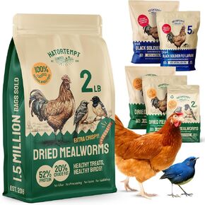 Hatortempt 10lbs Non-GMO Bulk Dried Mealworms - Premium Organic Chicken Feed, Nutritious High Protein Meal Worms- Food and Treats for Laying Hens, Wild Birds, Ducks, Reptiles, Fish, Hedgehogs, Turtles