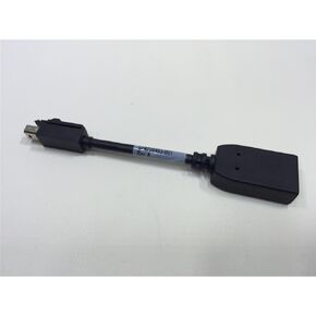 HP Cable Mini Dp Tp Dp Adapter, 703216-001