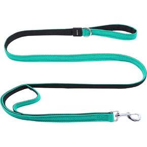 Double Handle Walking/Traffic Air Mesh Leash