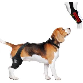 دعامة ركبة ACL متميزة للكلاب لدعم الساق الخلفية الممزقة - العناية الصليبية والانتعاش، دعامات ساق قابلة للتعديل للساق الخلفية، دعم الورك - أحجام صغيرة ومتوسطة وكبيرة مع مثبتات إضافية (أسود، M) in Kuwait