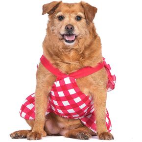 The Dodo Red Plaid Dress for Dogs, Size Medium, Machine Washable Everyday Apparel for Dogs, Cute Dog Dress, Cute Clothes for Dogs, The Dodo for Dogs Collection