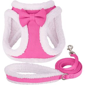 Didog Small Dog Harness and Leash Set, Winter Warm Dog Harness, No-Pull Adjustable Soft Padded Dog Vest for XS Small and Medium Sized Dogs (Red, XS)