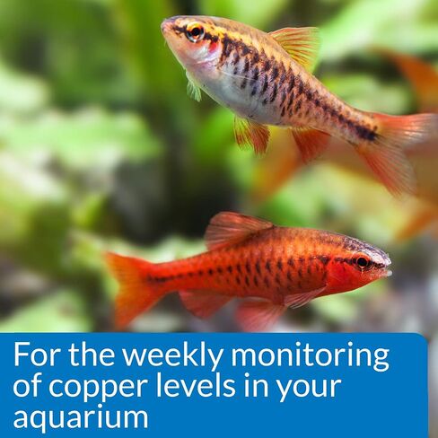 API pH TEST & ADJUSTER KIT 250-Test Freshwater Aquarium Water pH Test and Adjuster Kit (29A) in Kuwait