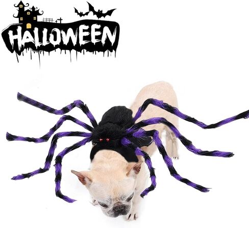 VHV Halloween Spider Costume for Dog Cat, Spider Decor Halloween Party Supply, Spider Cosplay Costumes with Adjustable Velcro for Halloween Pet Costume Halloween Decorations (Small) in Saudi Arabia