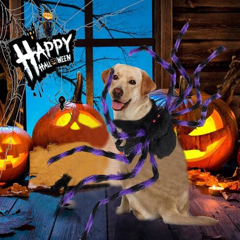 VHV Halloween Spider Costume for Dog Cat, Spider Decor Halloween Party Supply, Spider Cosplay Costumes with Adjustable Velcro for Halloween Pet Costume Halloween Decorations (Small) in Saudi Arabia