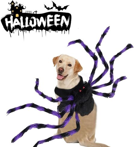 VHV Halloween Spider Costume for Dog Cat, Spider Decor Halloween Party Supply, Spider Cosplay Costumes with Adjustable Velcro for Halloween Pet Costume Halloween Decorations (Small) in Saudi Arabia