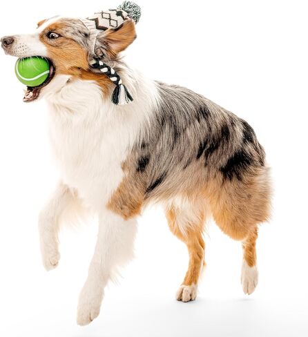 Playology Squeaky Chew Ball Holiday Themed Toy for Dogs - Engaging All Natural Grandma's Gravy Scent Dog Toy, Red Dog Toy for Extra Large Dogs - Squeak, Fetch, and Play! in Kuwait
