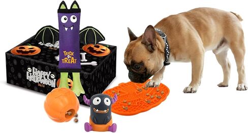 الكل من أجل الكفوف الهالوين بمقبض كرة اليقطين الباليستية للكلاب، لعبة كرة الكلب القطيفة لقضاء العطلات، ألعاب جلب الكلاب، كرات السحب لوقت الإثراء، ديكورات الهالوين للمنزل، وليس للمضغ العدواني in Kuwait