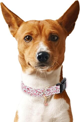 Cotton Dog Collar,Soft and Cute Puppy Collars with Lemon Patterned Design for Girl Female Boy Dogs,Adjustable Buckle Pet Collar for Small Medium Large Dogs (Yellow Lemon, Medium) in Kuwait