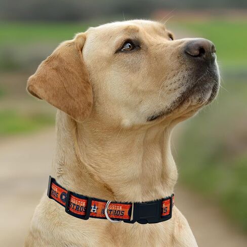 طوق MLB PET للكلاب هيوستن أستروس، صغير. طوق فريق البيسبول للكلاب والقطط. طوق للكلاب والقطط لامع وملون مرخص من MLB in Saudi Arabia