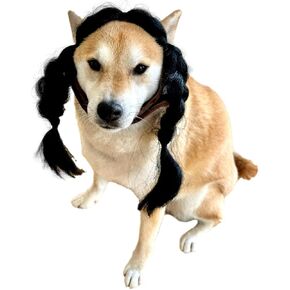 ComfyCamper Black Braided Hair Wig Headpiece Dogs Pet Gothic Girl Witch XL Cosplay Halloween Costume Christmas, S