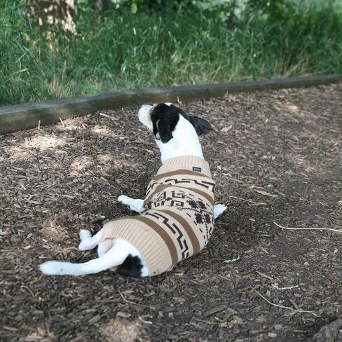 Pendleton Pet Classics Dog Sweater (L, Westerley) in Kuwait