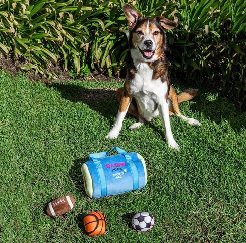 Sports Bag Hide and Seek Dog Toy, 3 Plush Balls with Squeakers, Basketball, Soccer Ball, Football in Kuwait